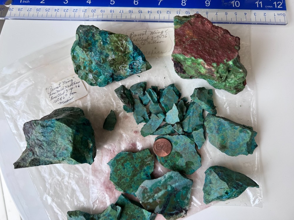 Old Stock Parrot Wing Chrysocolla Rough 2lbs 13oz