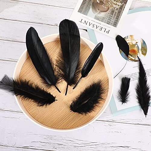 Black Craft Feathers Bulk 8 Styles - 320 PCS Assorted Mixed Natural Feathers