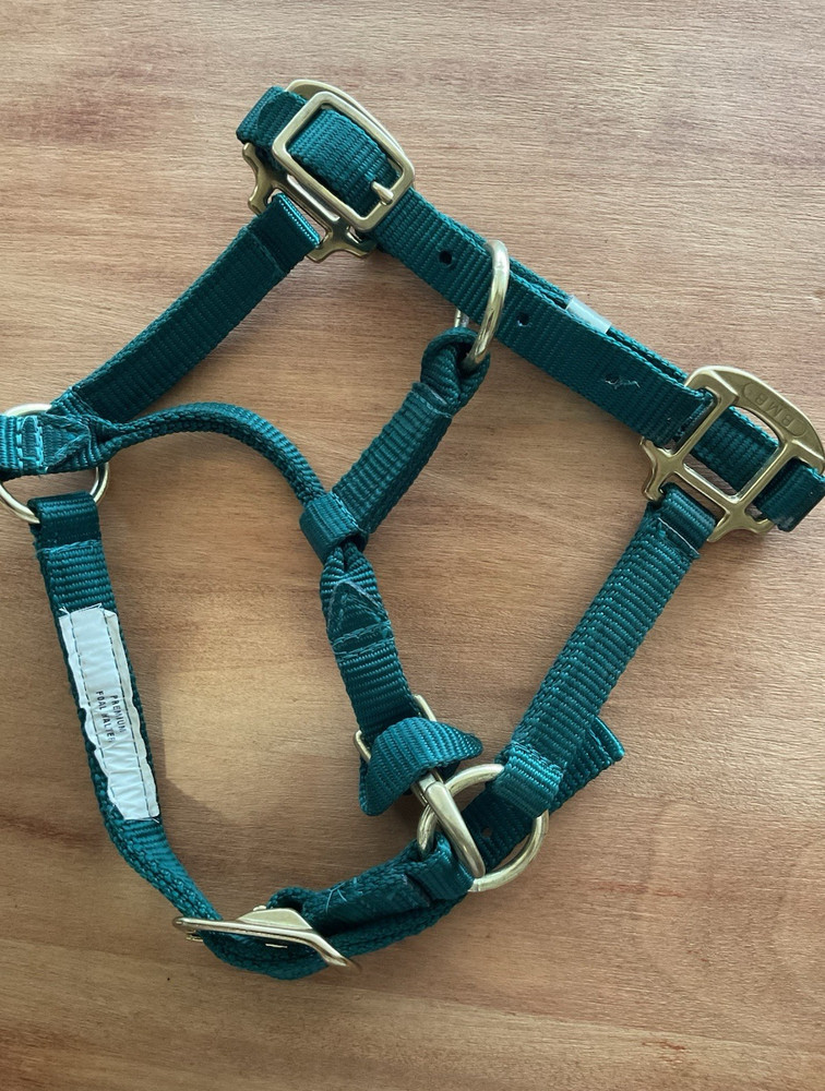 BMB Nylon Foal Halter Green Adjustable Brass Hardware
