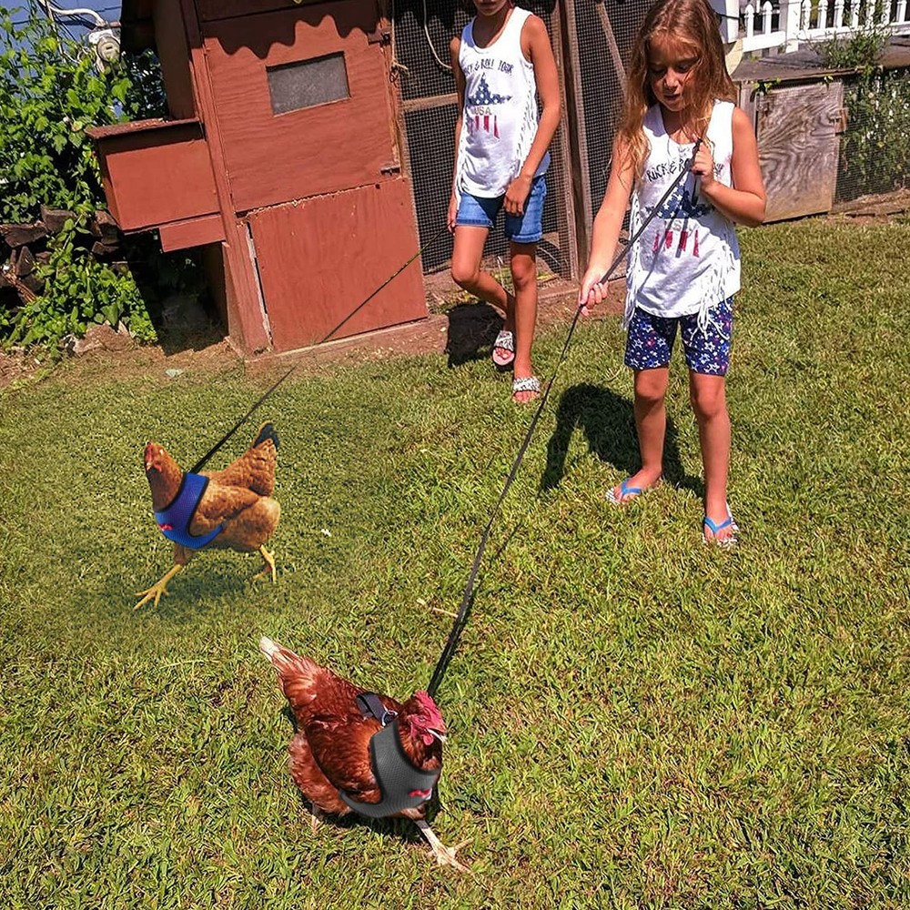 4 Pcs Adjustable Chicken Harness with Leash- 4 Styles Medium, 4