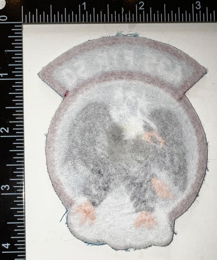 USAF 435th Fighter Squadron Black Eagles Patch