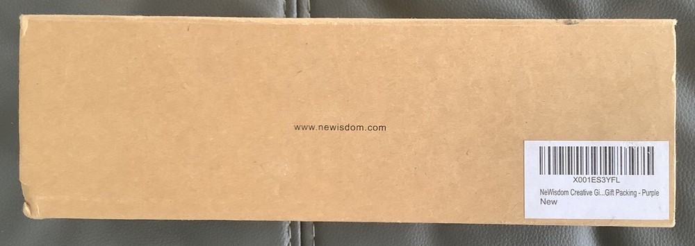 Newisdom Wireless Karaoke Microphone