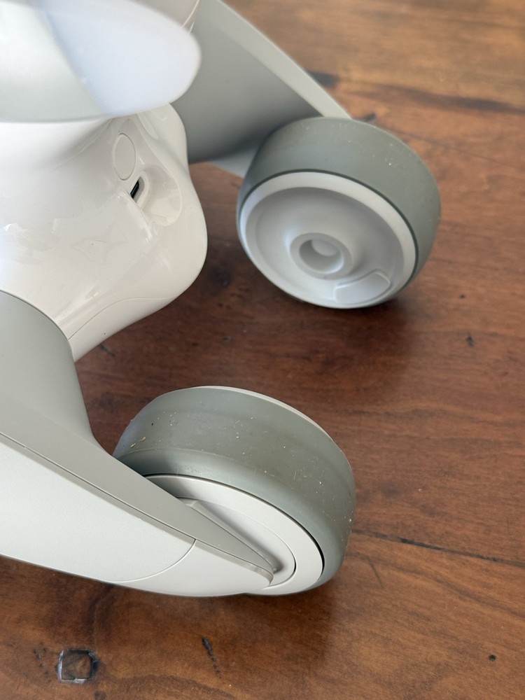 LOONA The PetBot