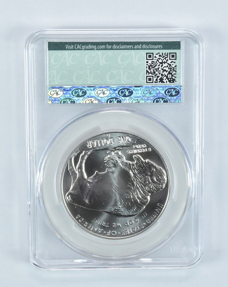 2001-D Buffalo Commemorative Silver Dollar MS69 CAC CACg
