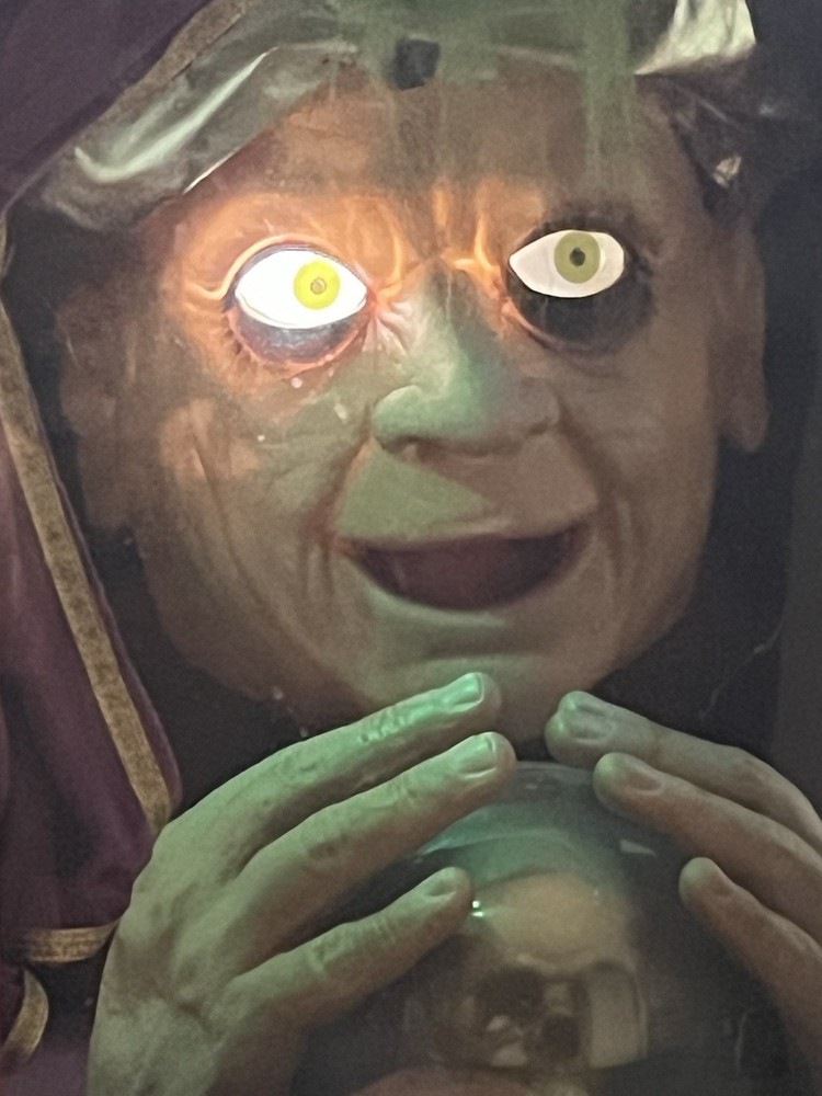 ZULTAN-GEMMY 2005 TALKING FORTUNE TELLER-RARE