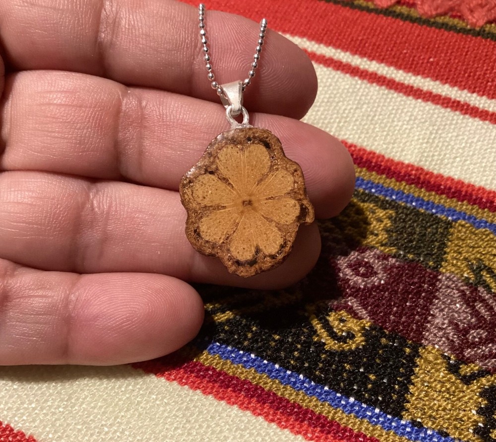 ayahuasca Pendant Necklace With sterling Silver