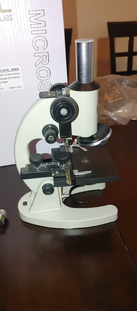 Microscope 600X