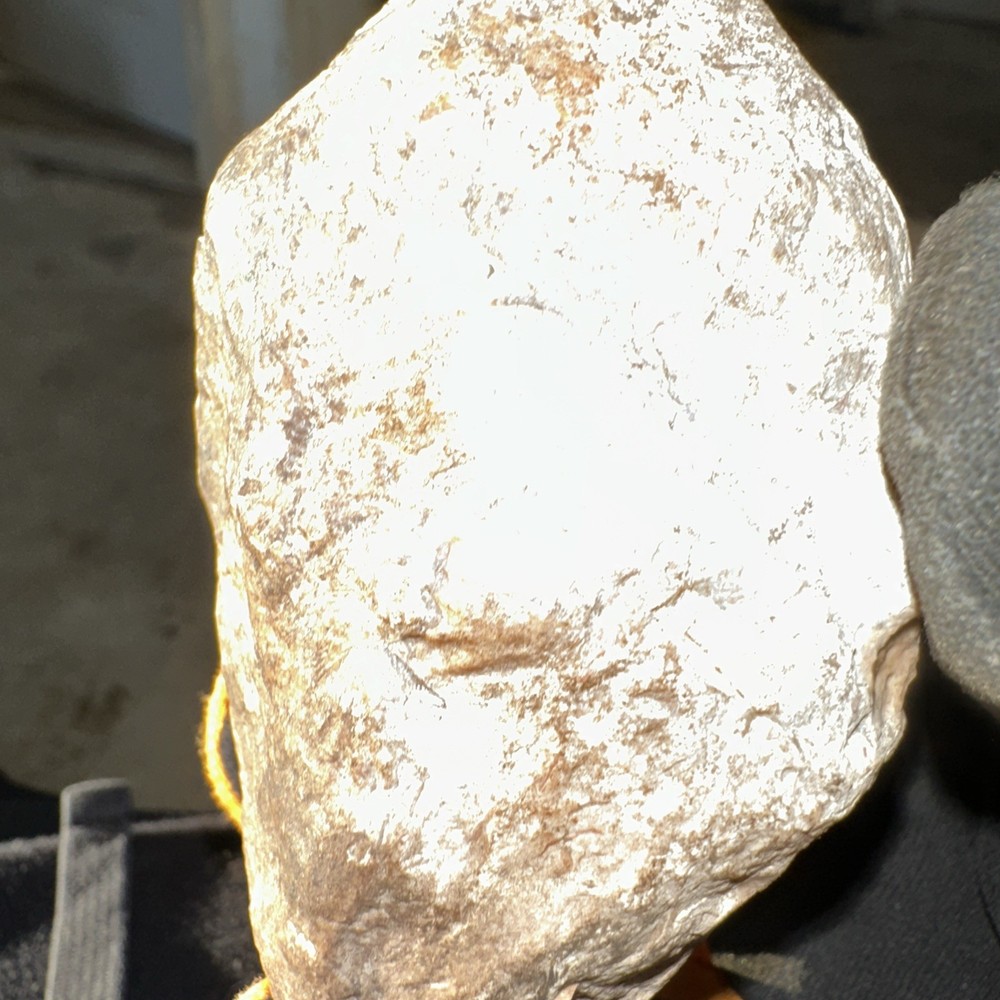 Fossil From Minnesota Emblem Rock Natural Stone