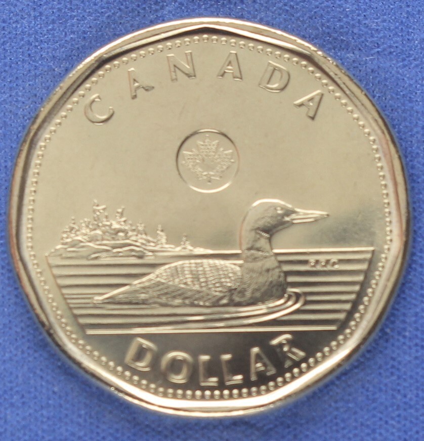 Canada 2021 Loonie ( 1 $ ) from a Mint Roll - First Day Strike - Classic Reverse