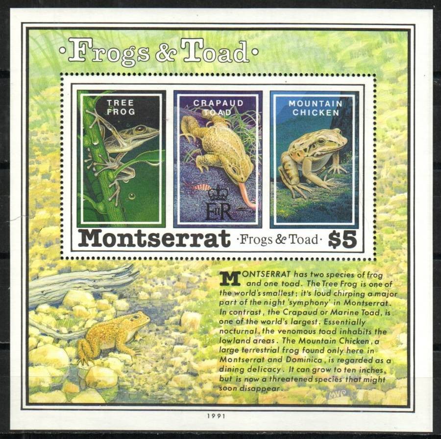 Montserrat Stamp 783  - Frogs & Toads