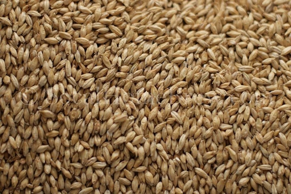 Rahr 2-Row 5 lb for Home Brew Beer Making