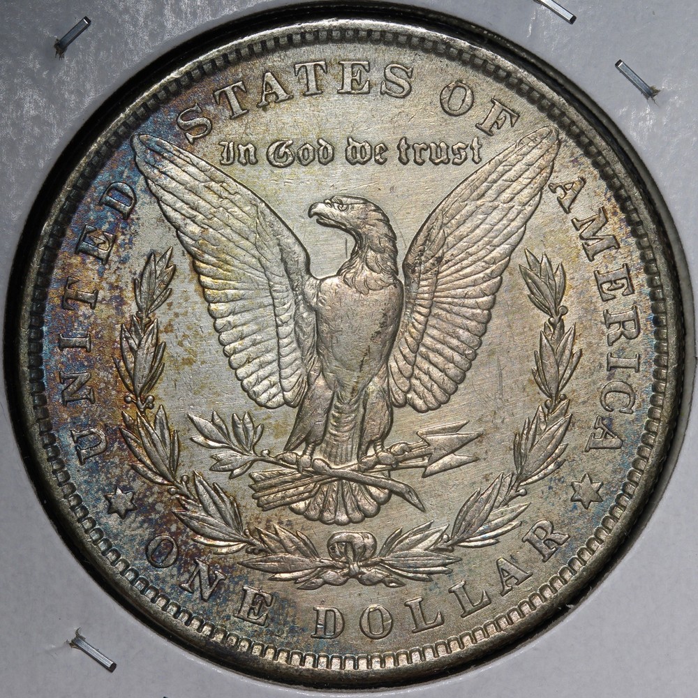 1881 Morgan Silver Dollar TONED E347 SRTY