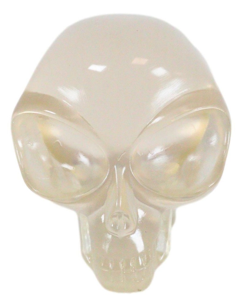 Small Translucent Extraterrestrial ET Alien Skull Sculpture Predator UFO Statue