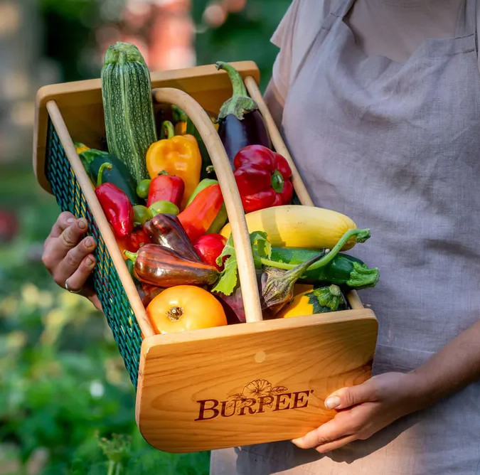 Burpee's Garden Hod