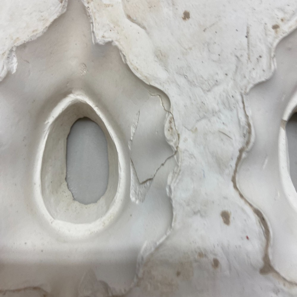 Ceramic Slip Casting Mold Leaf Cam