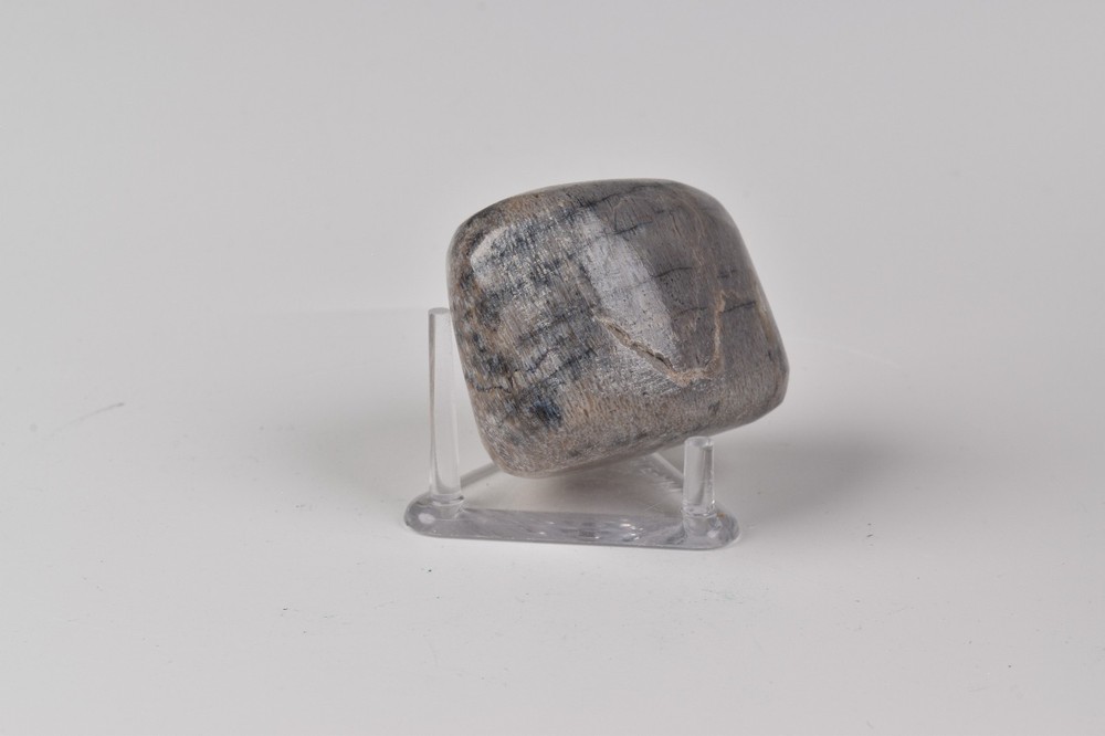 Polished Dinosaur Bone from Morocco 3.9 cm # 21589