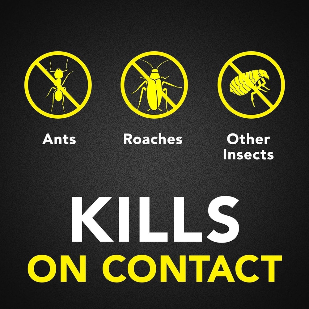 Raid Ant & Roach Killer 26, Fragrance Free Bug Killer for Home Use, Kills Bugs o