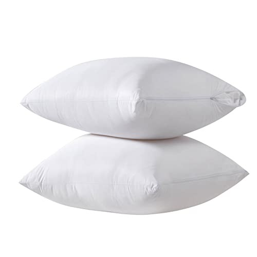 Cooling Bamboo Viscose Feather Proof Queen(20 x 30) White(smooth Surface)