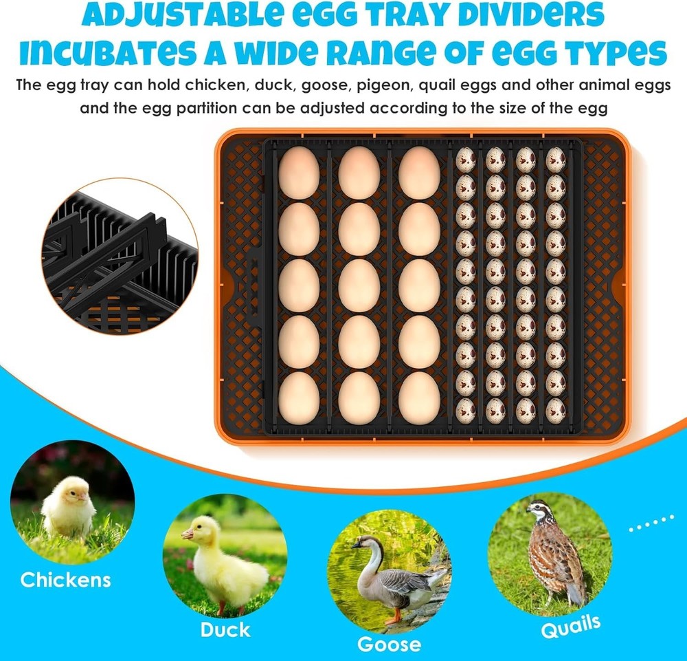 25 Egg Incubator Digital Poultry Hatcher Machine with Automatic Egg Turning✅