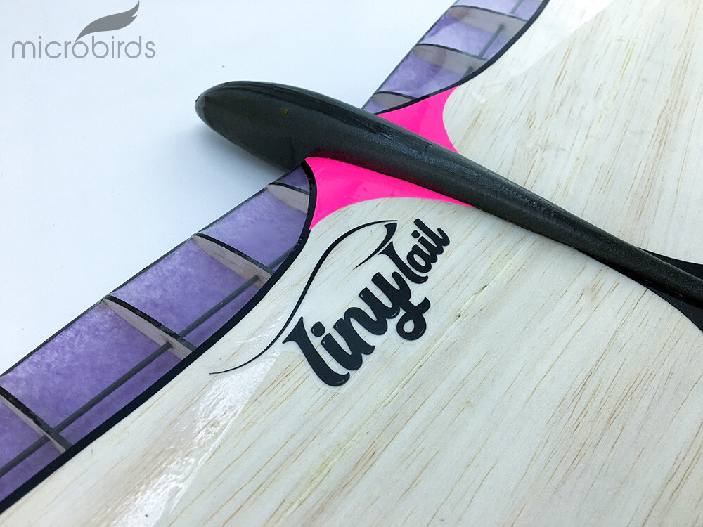 Tiny Tail 2Ch RC Radio Control Glider Air Plane Kit Free Flight Bungee Launch