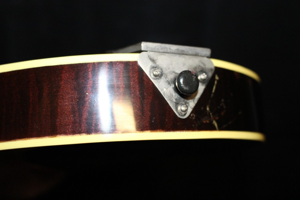 Wayne Henderson John Cephas Mandolin