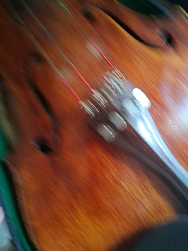 Violin