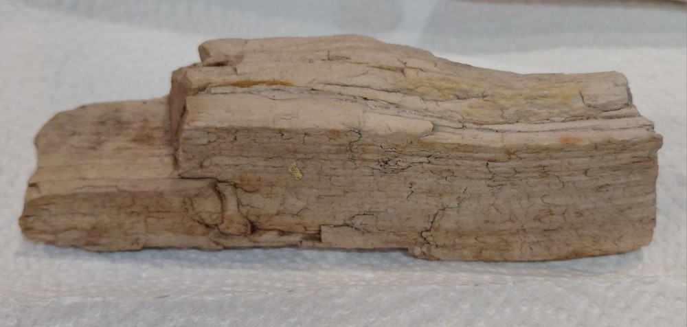 11 oz. Petrified Wood Silica