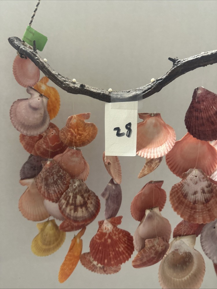 Beautiful Shell Windchime Decoration Support Stick Is 12 Wide 11 Long