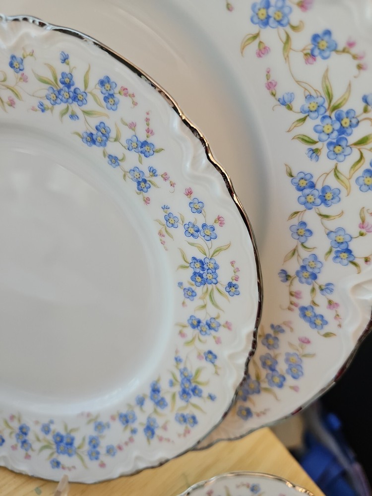 7 Pc Place Setting Mille Fleurs. by Hutschenreuther