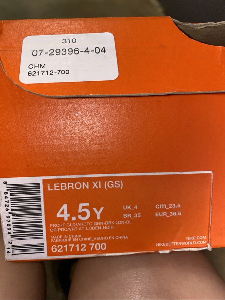 Nike LeBron XI (GS)