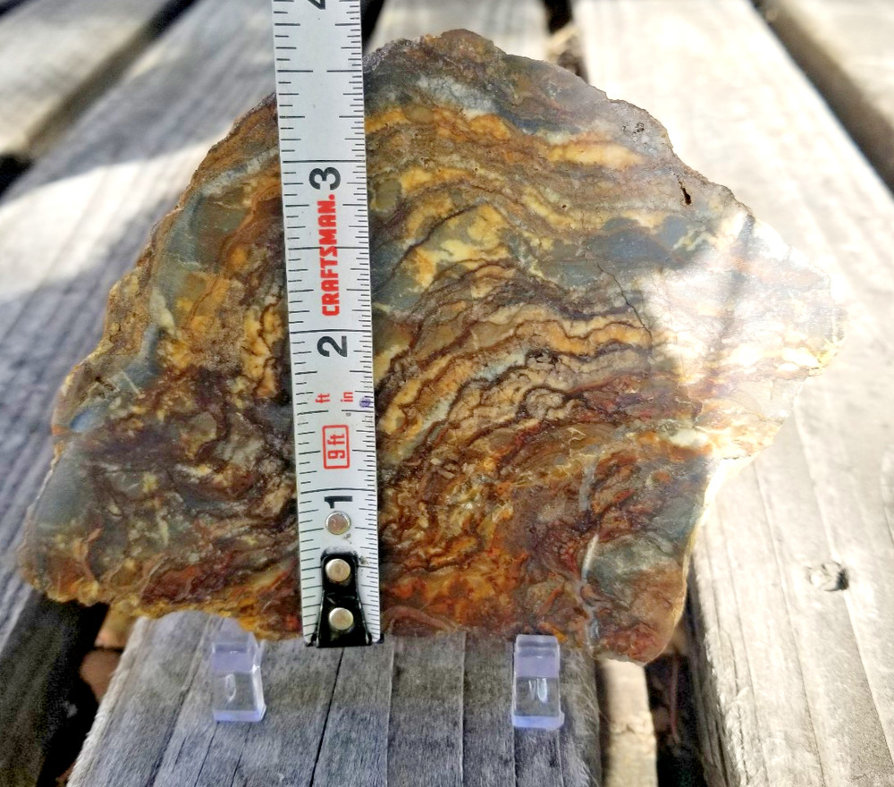 Nice Polished Picture Jasper Slab 5x3.5" Display Unknown Origin Old Collection