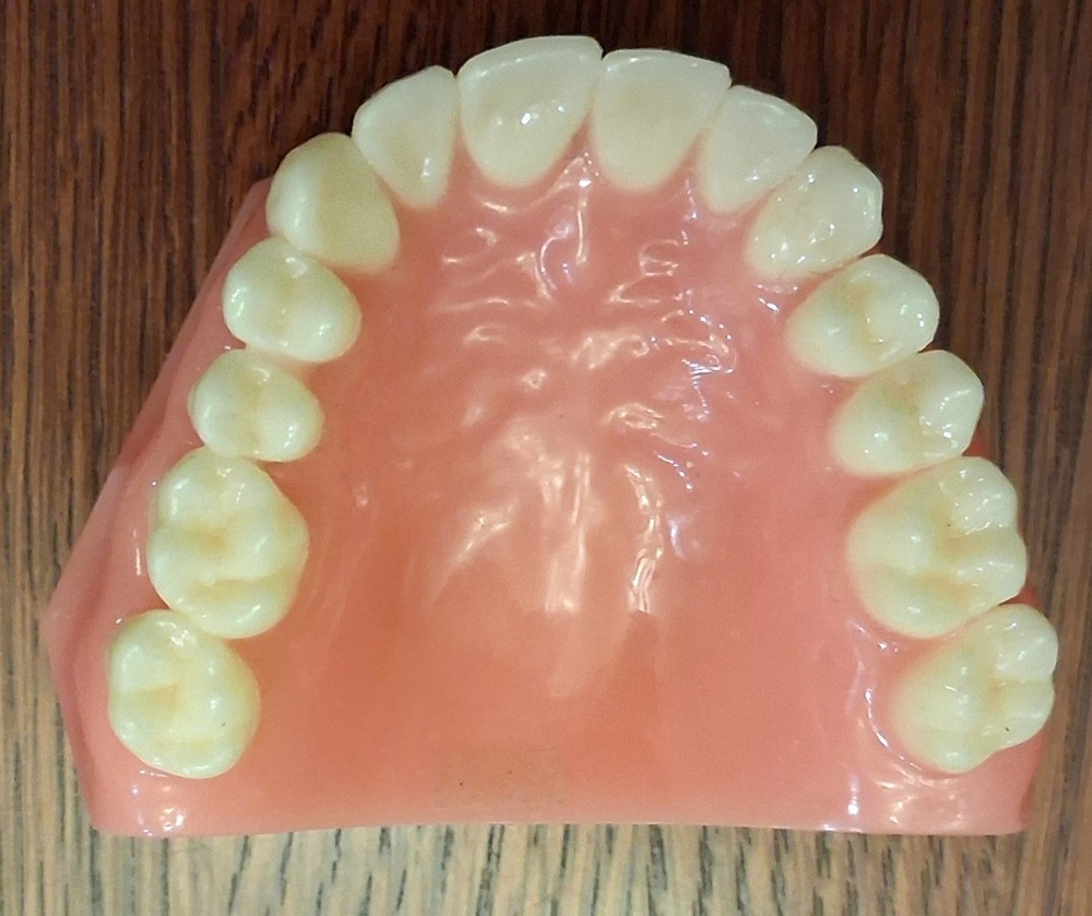 Invisalign Typodont