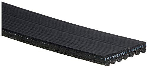 K070750 Belt