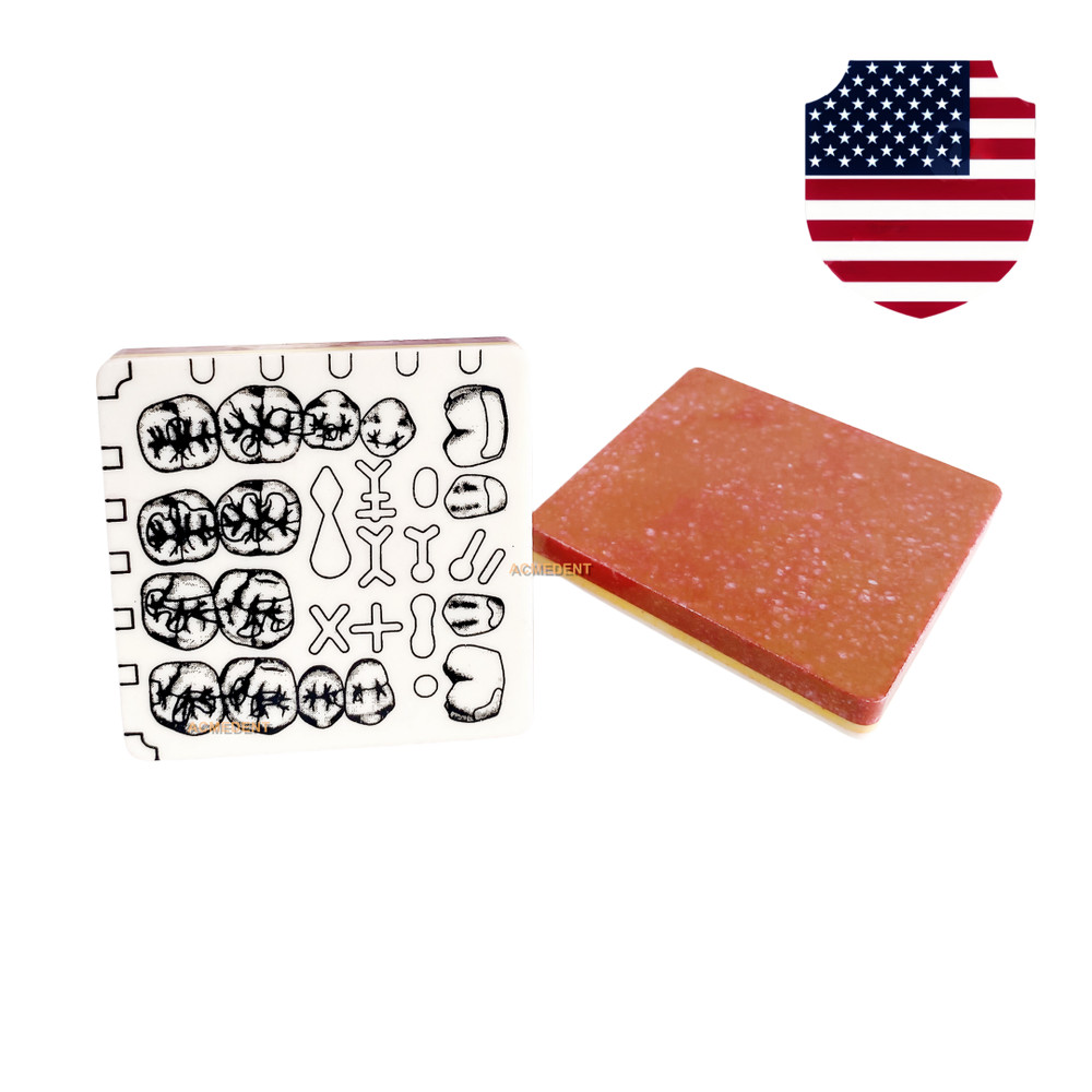 Dental Cavity Tooth Preparation Blocks Caries Remove Model Student Trainer only1