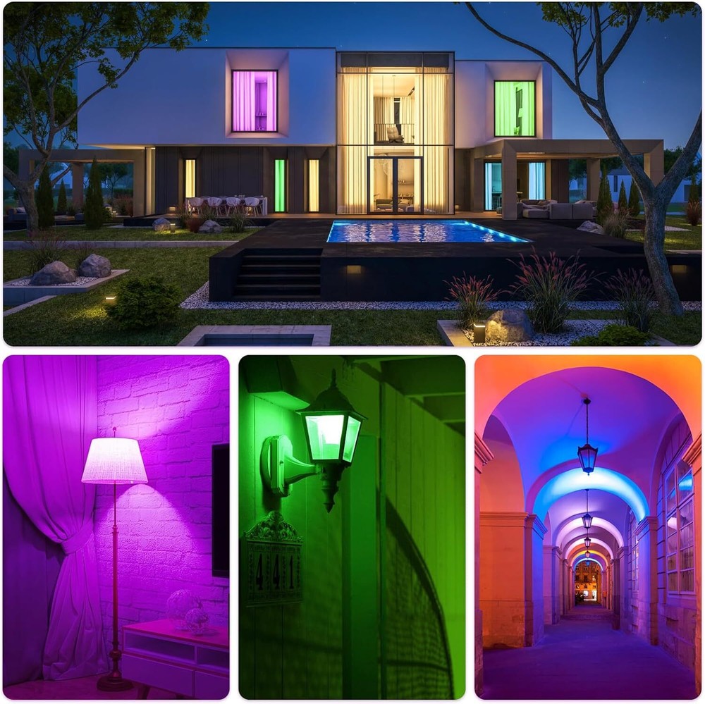 LED Purple Light Bulb Colored Light Bulbs 2 Pack