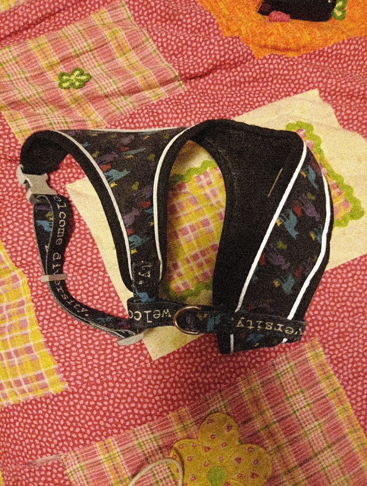 dog harness medium Welcome Diversity