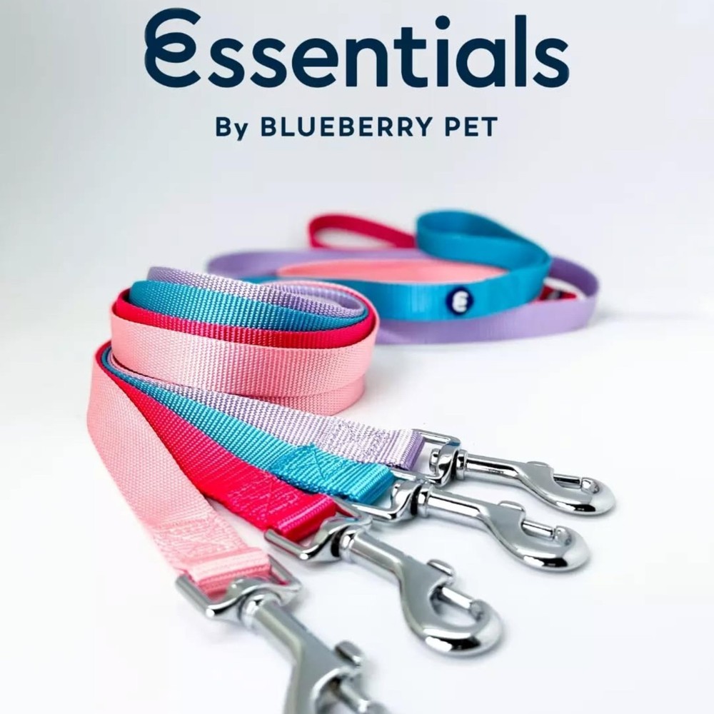 Essentials Durable Classic Dog Leash | Basic Nylon| 4ft. x 1" Large | Pastel ...