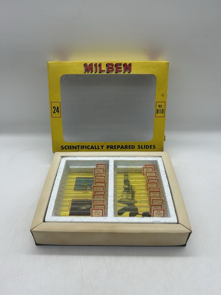Milben 12 Microscope Slides Set No 810