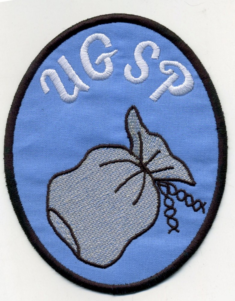 1978 Quark UGSP Embroidered Iron-on Patch