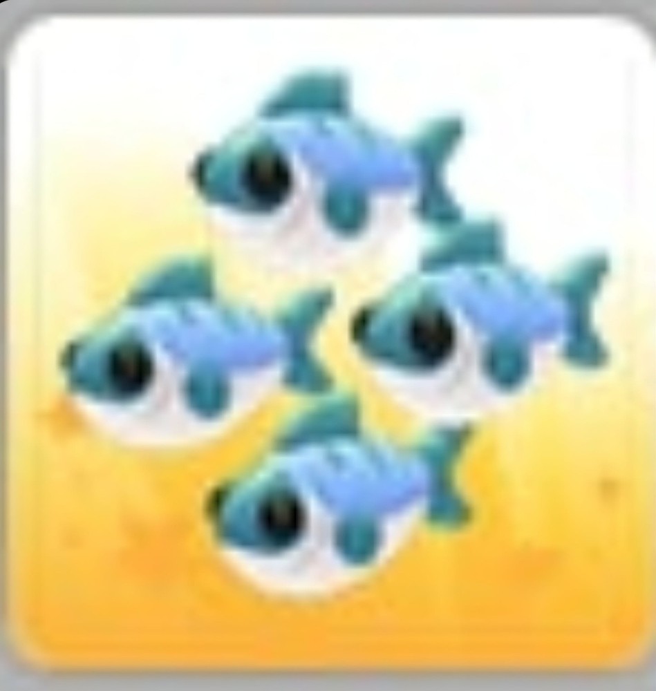 Many Mackerel | Adopt Now