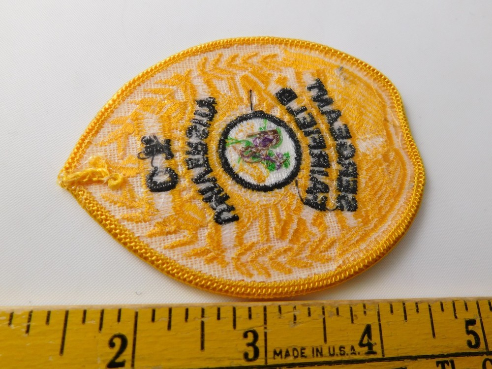FAIRCHILD UNIVERSITY POLICE SERGEANT PATCH SHOULDER CREST CONNECTICUT