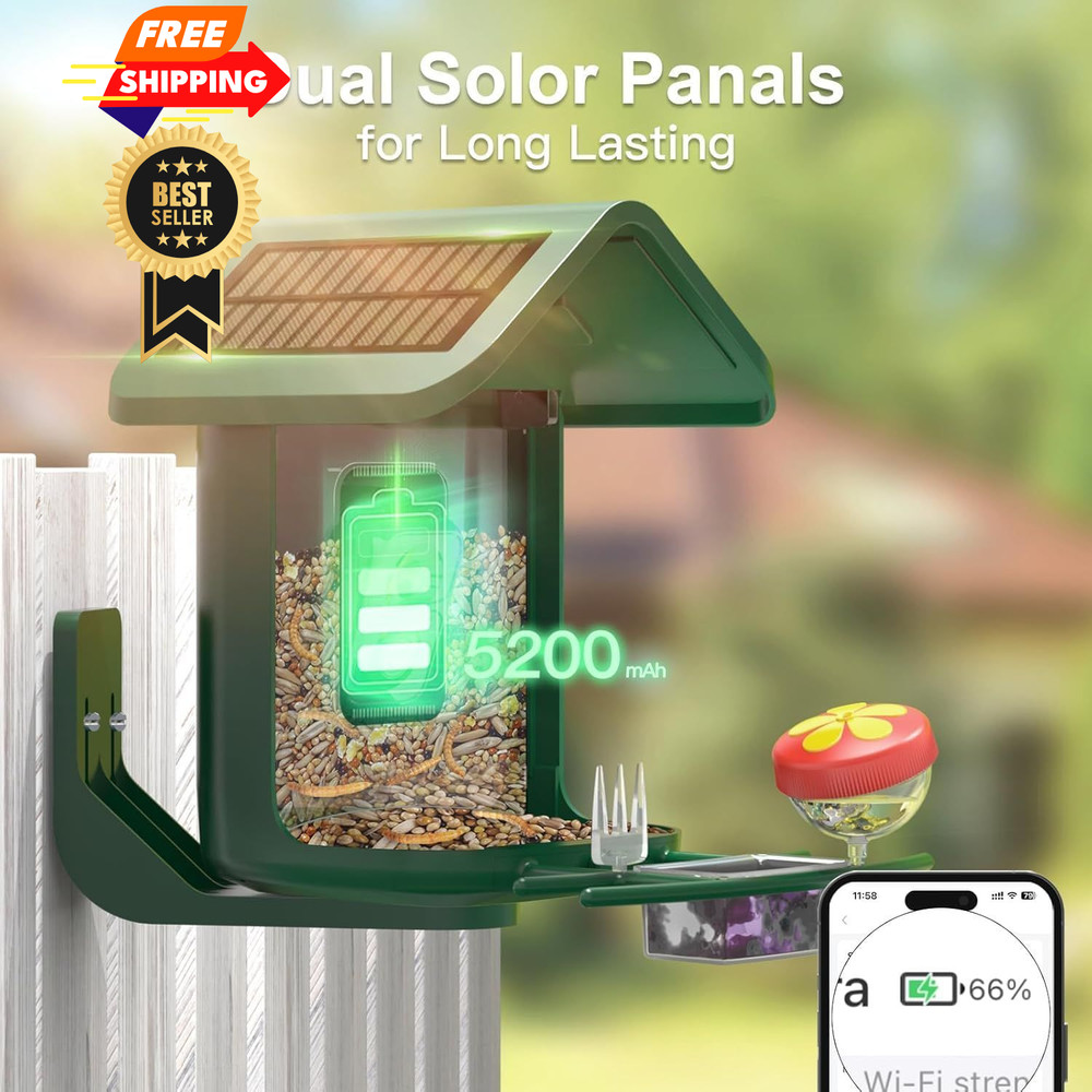 Bird Feeder with Camera Solar Powered : Smart 2K Green