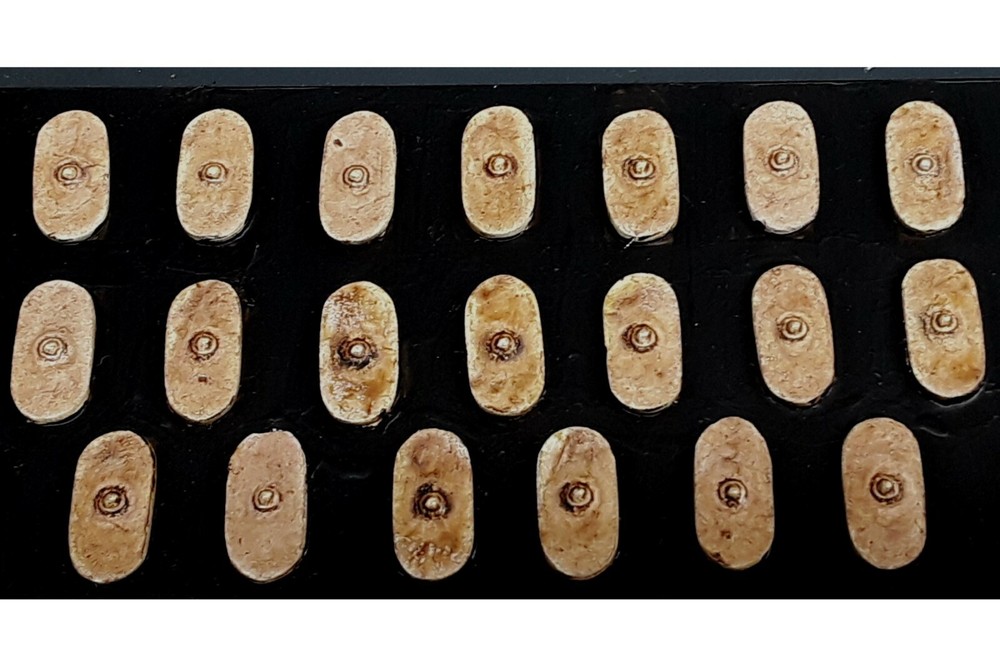 15mm Fantasy Barbarian Shield #5 (20 Shields)