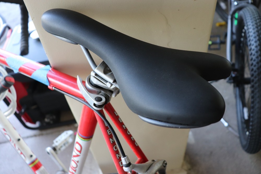 Lemond Reynolds Bicycle Racing
