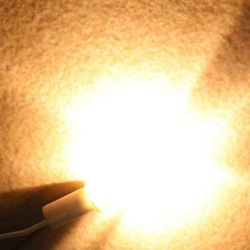 (10 Pack) G4 Halogen Bulbs – 20W, 110V, Dimmable, 2700K Warm White