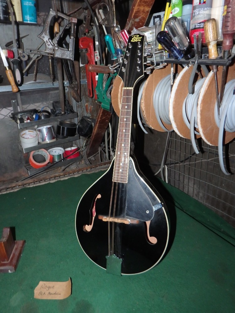 Rogue RM-100A A-Style Mandolin - Black