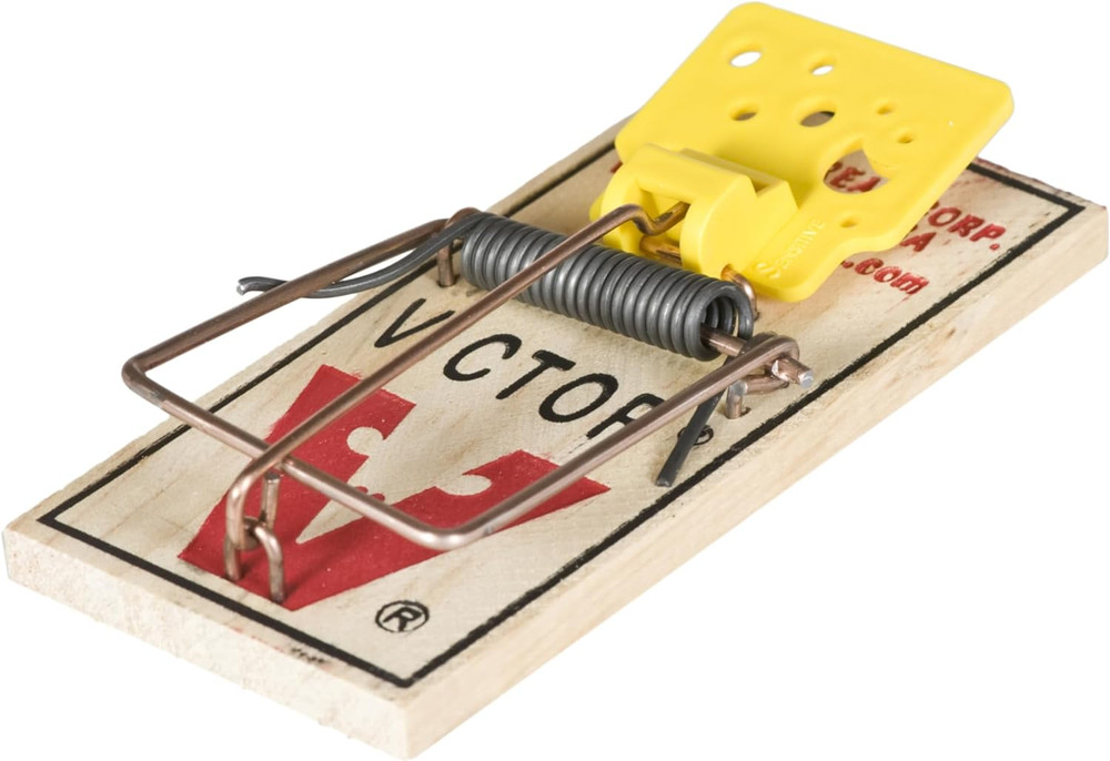 Easy Set Mouse Trap - 2Pk