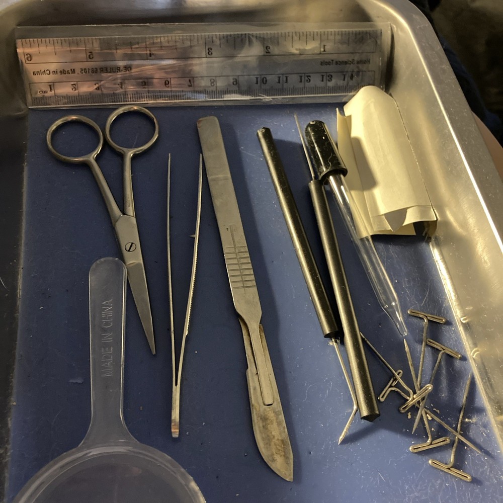 Biology Dissection tools - mat with all dissection tools