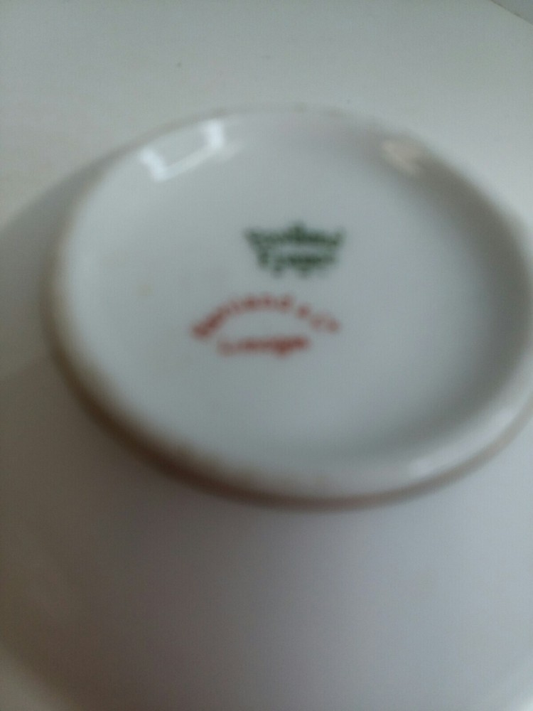 Limoges cup and saucer