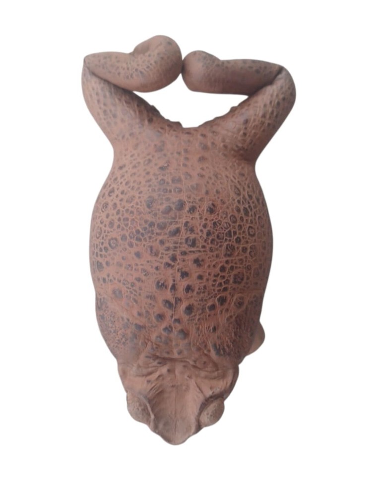 Handmade Sugar Cane Toad, Stuffed - Real Toad Leather
